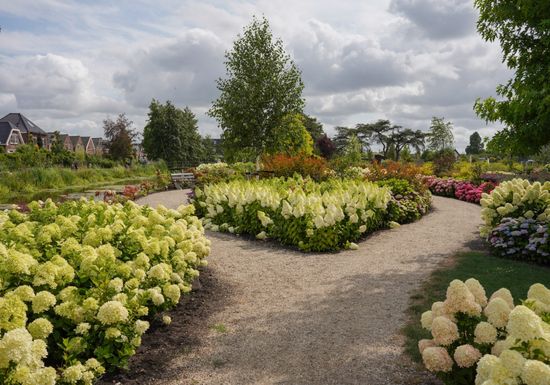 Bloeiende borders in Tuinen van Boskoop