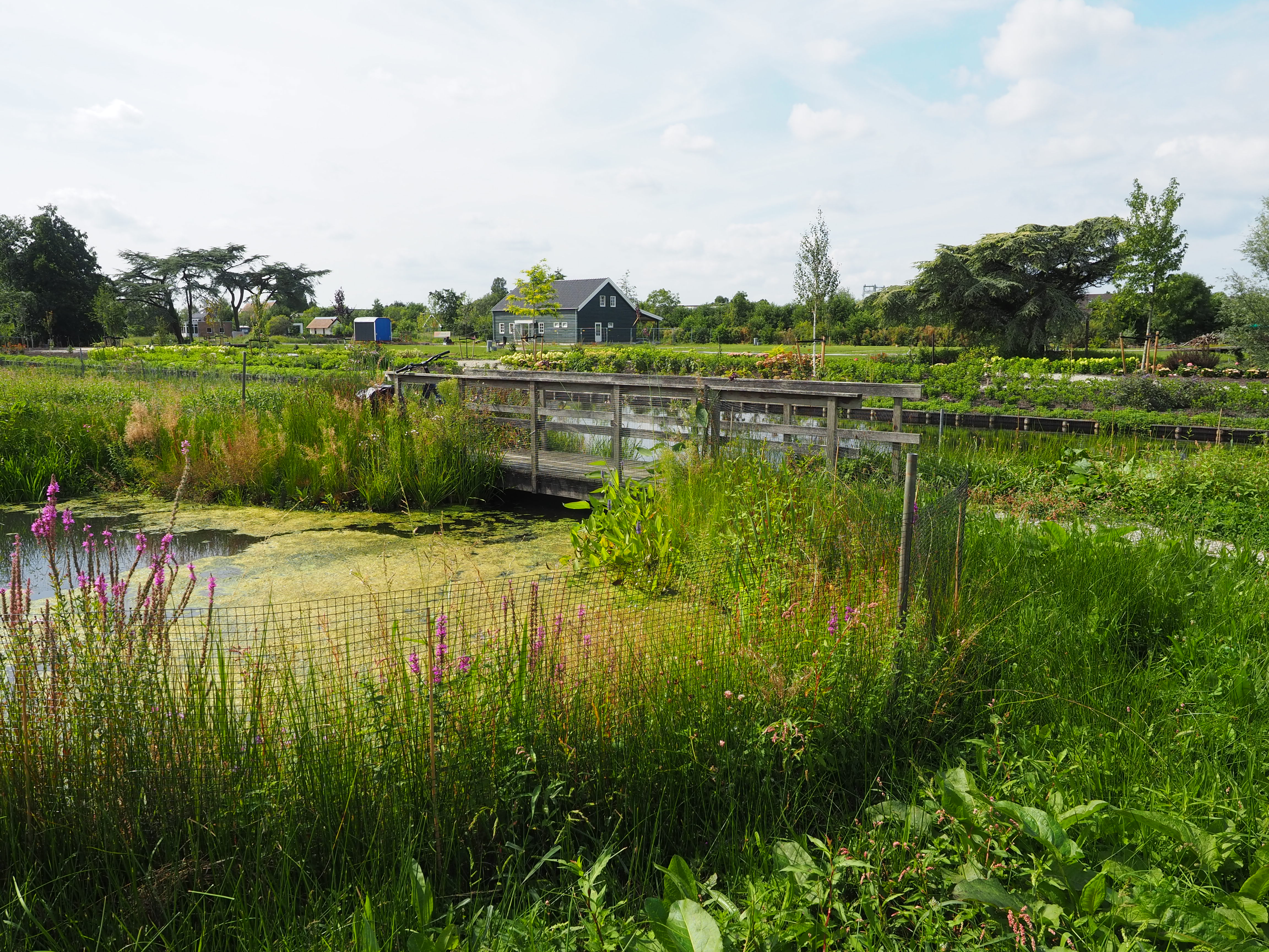 Bezoek horeca of plan een vergadering